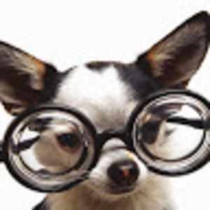 Meet your Posher, Isabella